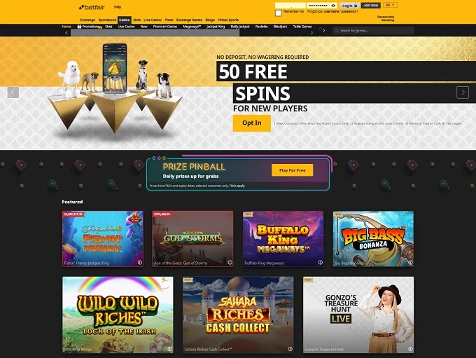 Betfair Casino Bonus Codes Interface